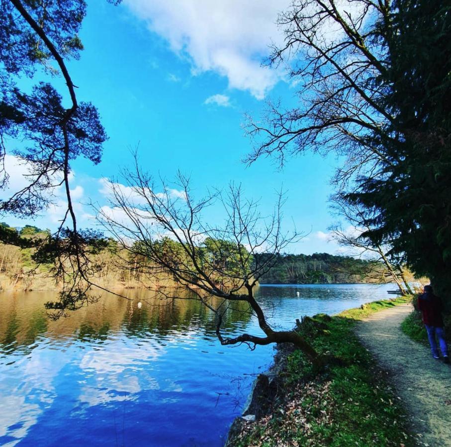 O Faya Cottage Votre Gite Calme Et Verdoyant En Bretagne Saint-Mayeux Exteriör bild